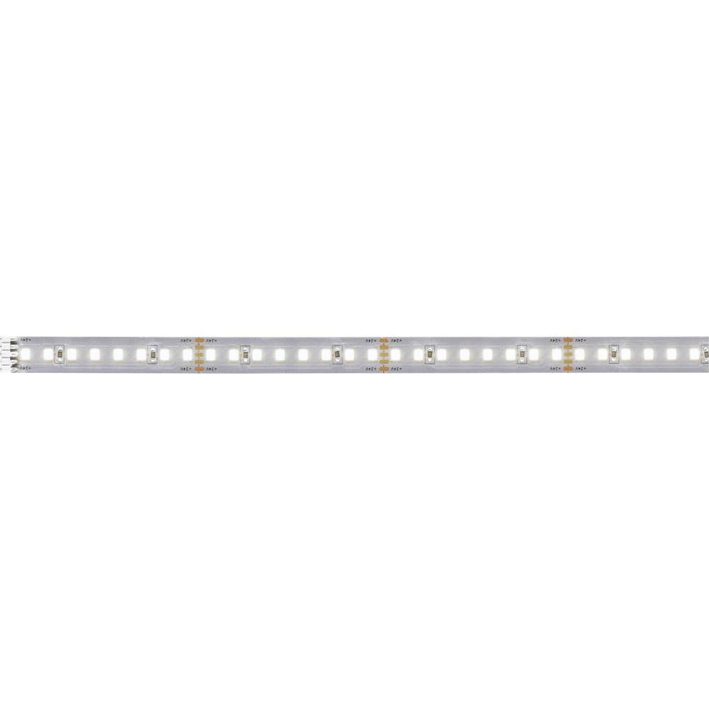 Paulmann MaxLED 1000 71250 LED-strip 24 V/DC 1 m Neutraalwit 1 stuk(s)