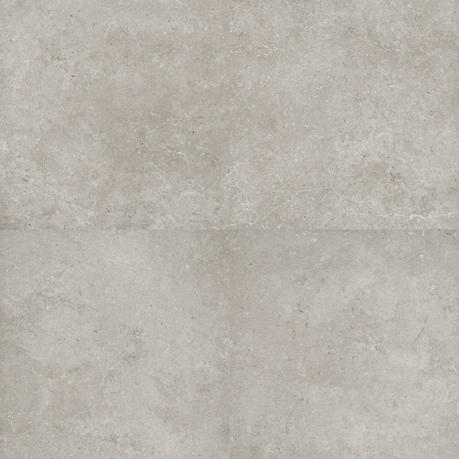 Flaminia Vloertegel  Oregon Silver 60x60 cm Gerectificeerd 