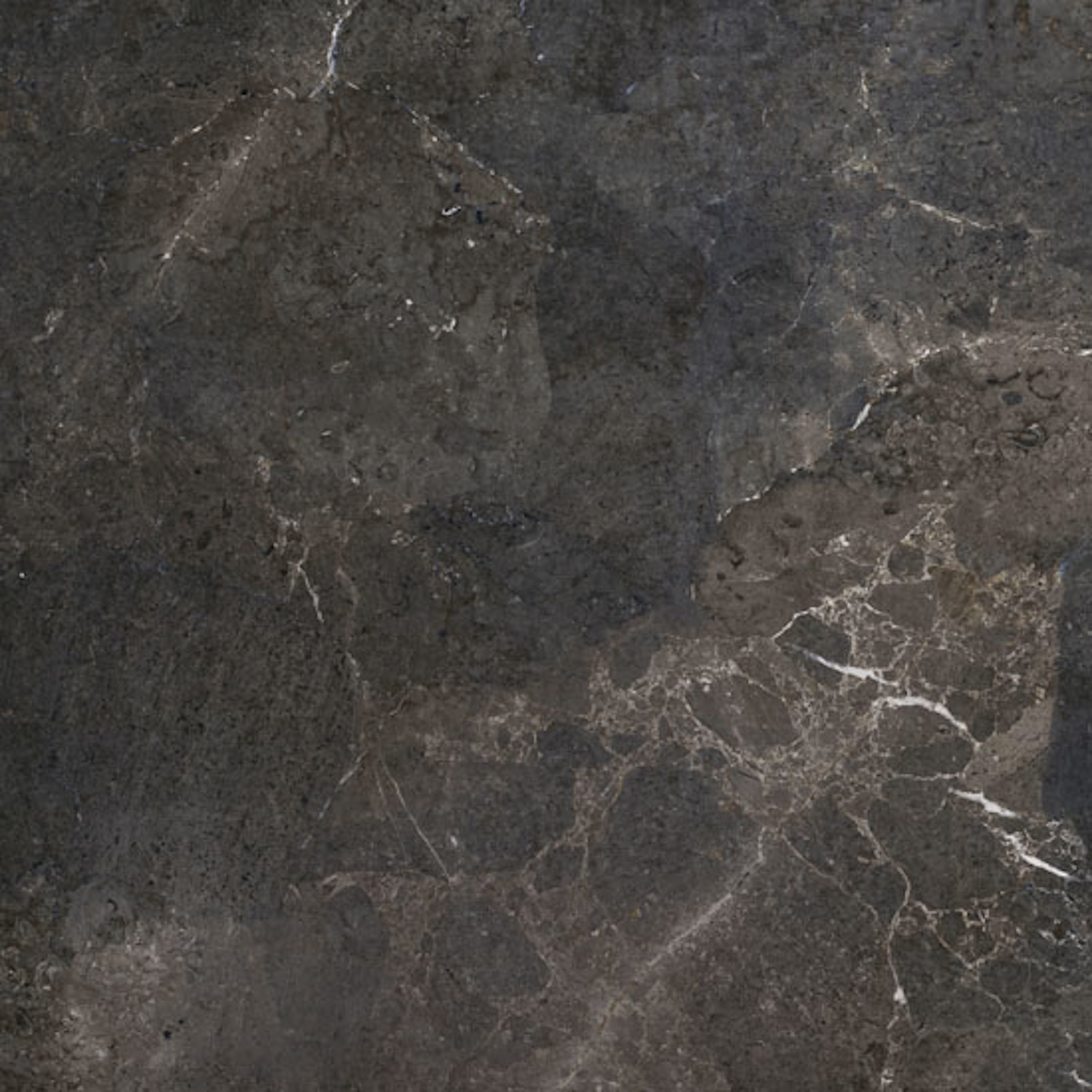 Porcelaingres Vloertegel  Royal Stone 60x60 cm Mat Zwart 