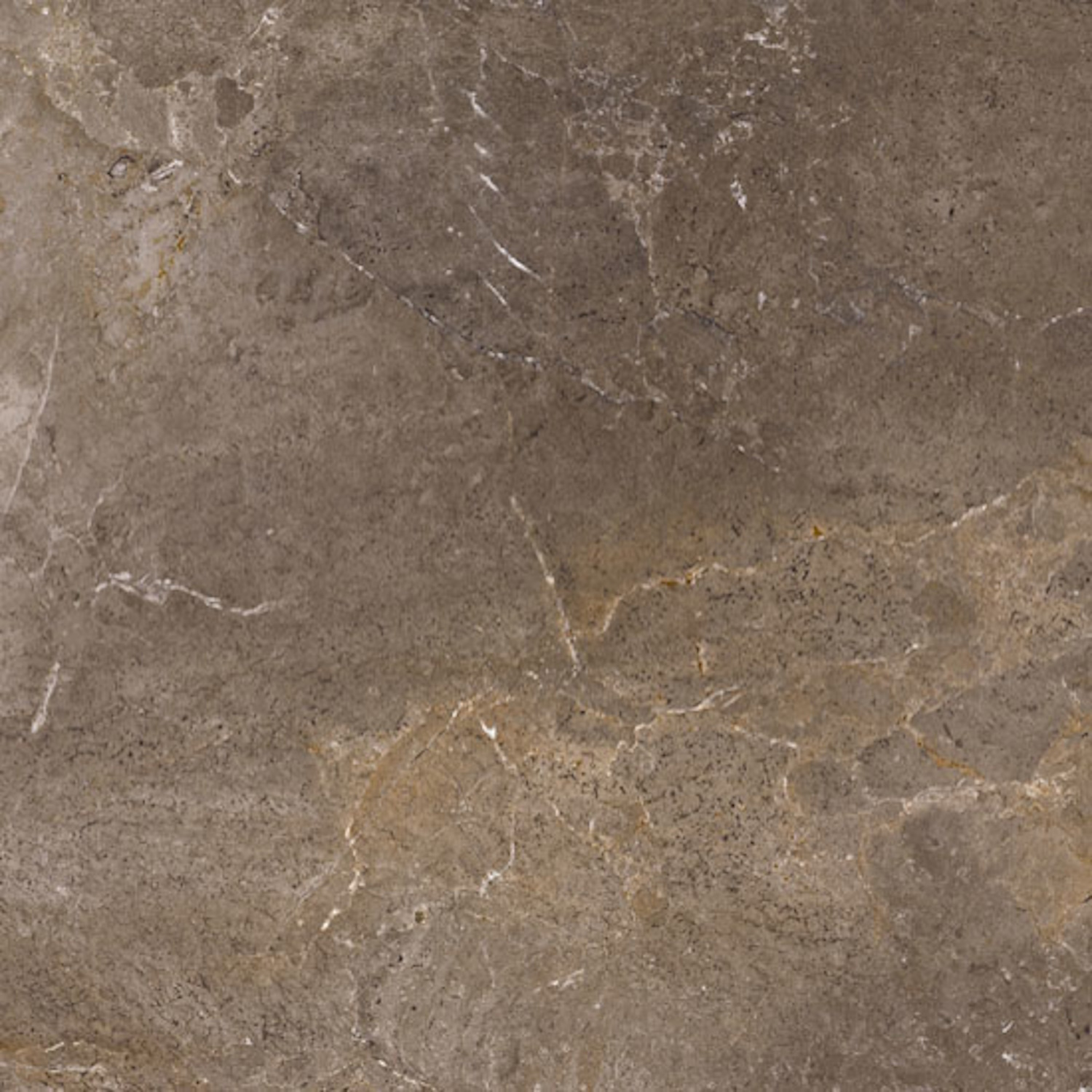 Porcelaingres Vloertegel  Royal Stone 60x60 cm Mat Bruin 