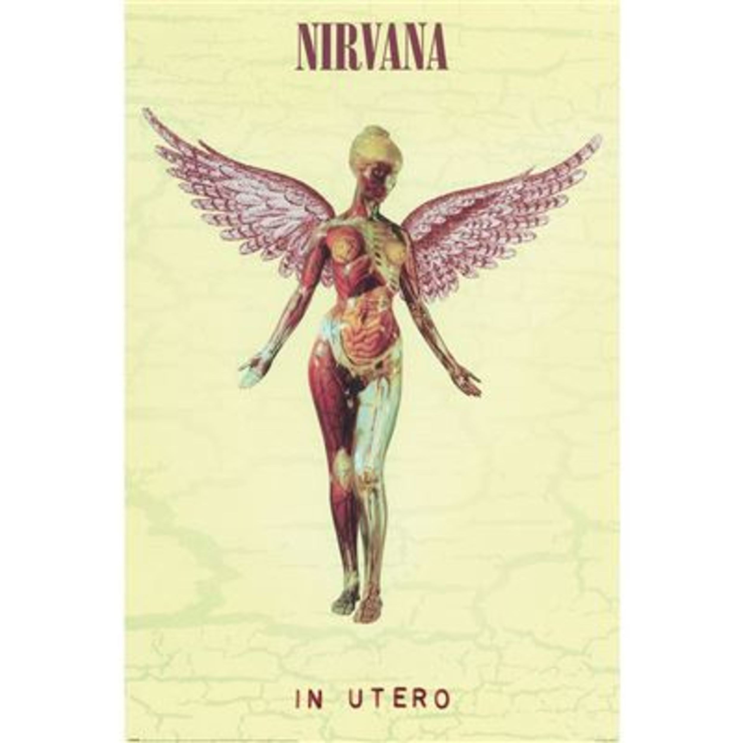 Pyramid Poster Nirvana - In Utero 61x91,5cm