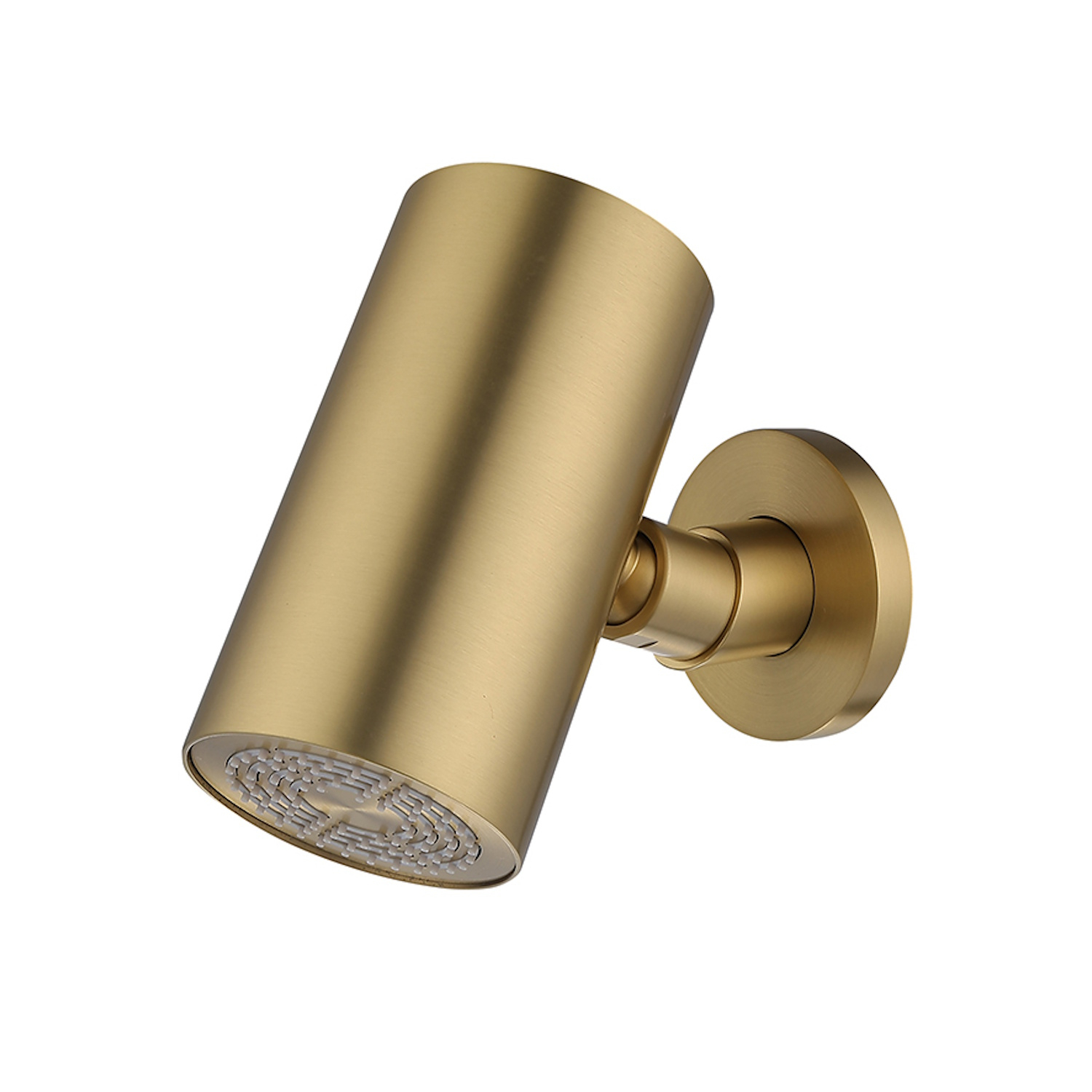Boss & Wessing Hoofddouche BWS Maya Beam Rond 1 Stand met Muurbevestiging Geborsteld Messing PVD