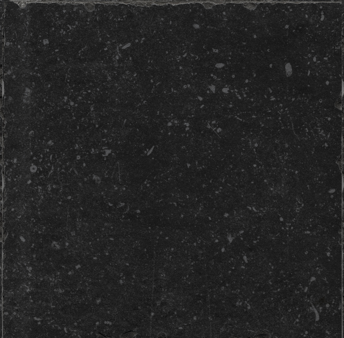 Barney & Stones|Barney Stones & Tiles Vloertegel Belgium Stone Black Anticato 60x60 rect zwart