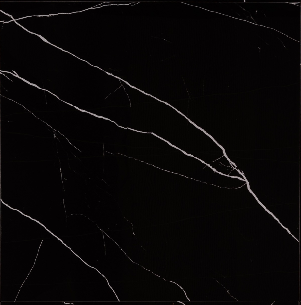 Barney & Stones|Barney Stones & Tiles Vloertegel Rud Marquina Poli 60x60 rect zwart