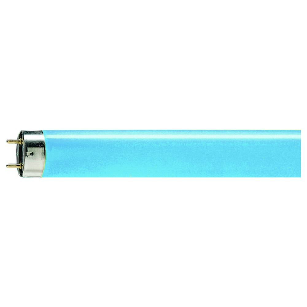 Signify Fluorescentielamp G13 18 W Staaf (Ø x l) 28 mm x 604 mm 1 stuk(s)