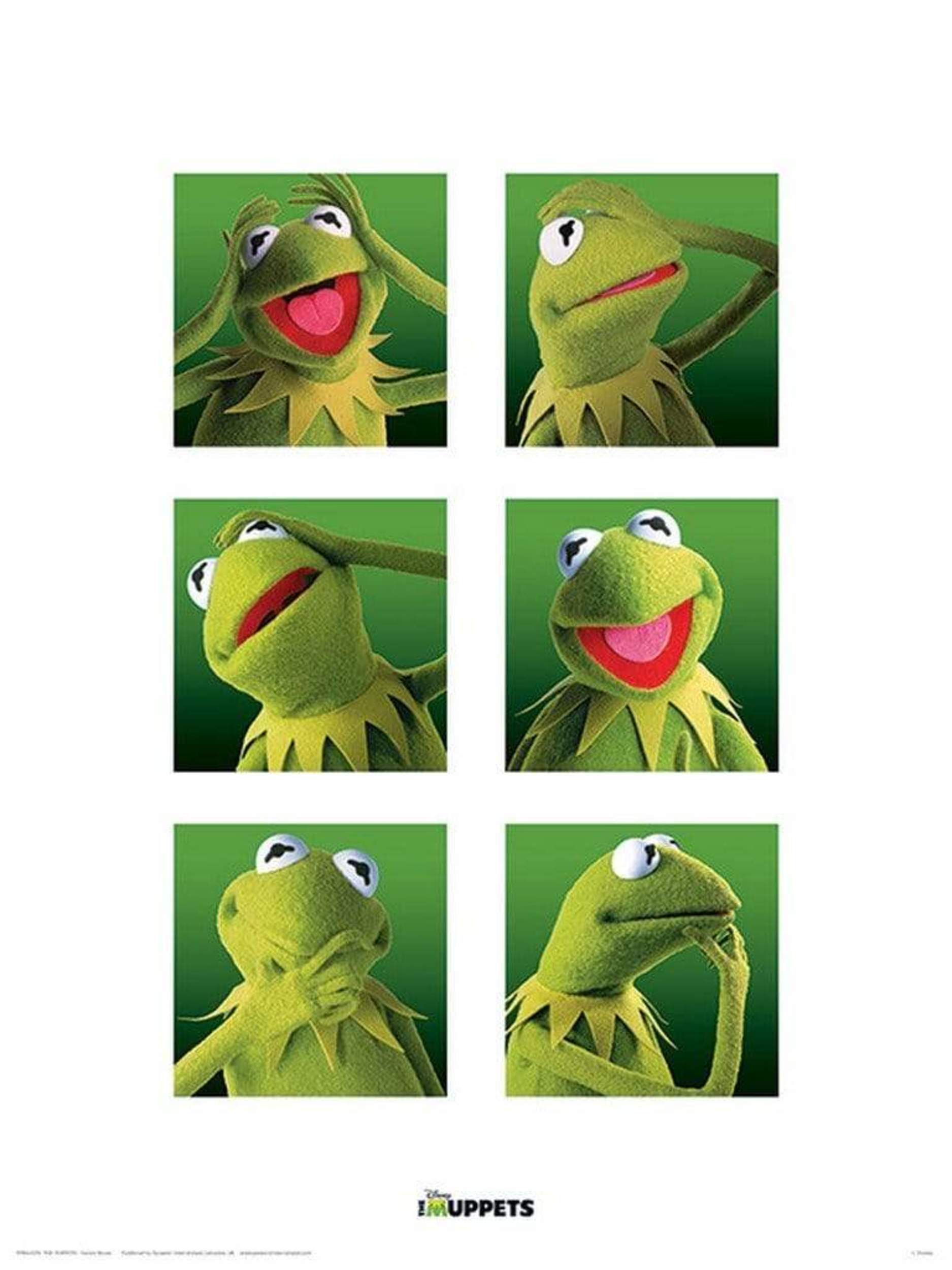 Pyramid Kunstdruk The Muppets Kermit Boxes 30x40cm