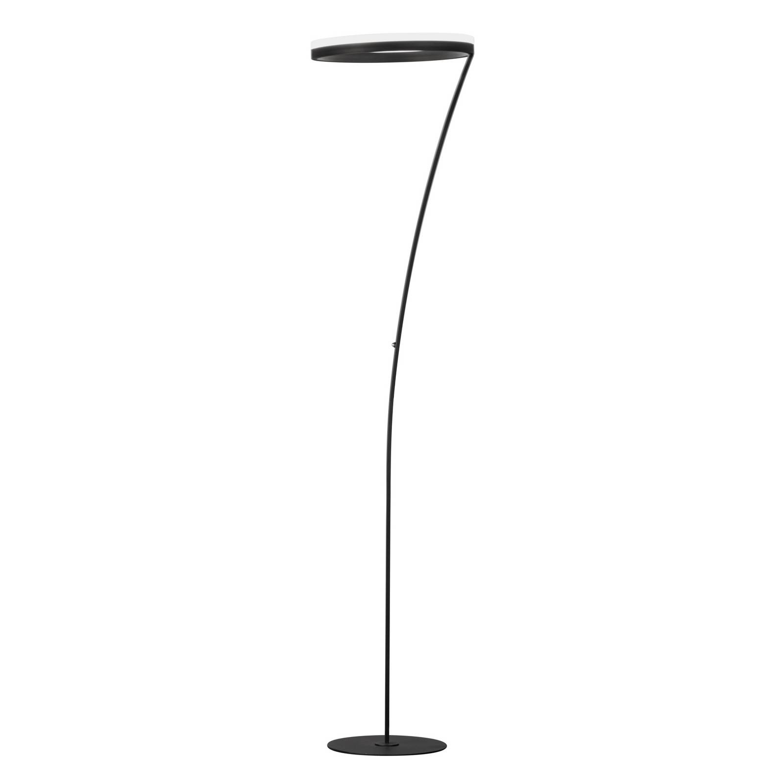 FISCHER & HONSEL LED vloerlamp Sirko, zandzwart, hoogte 177 cm, metaal, CCT