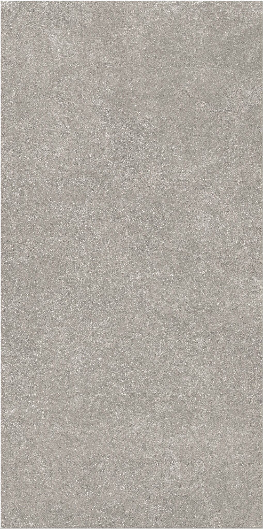 Flaminia Vloertegel  Surface Greige 60x120 Gerectificeerd 