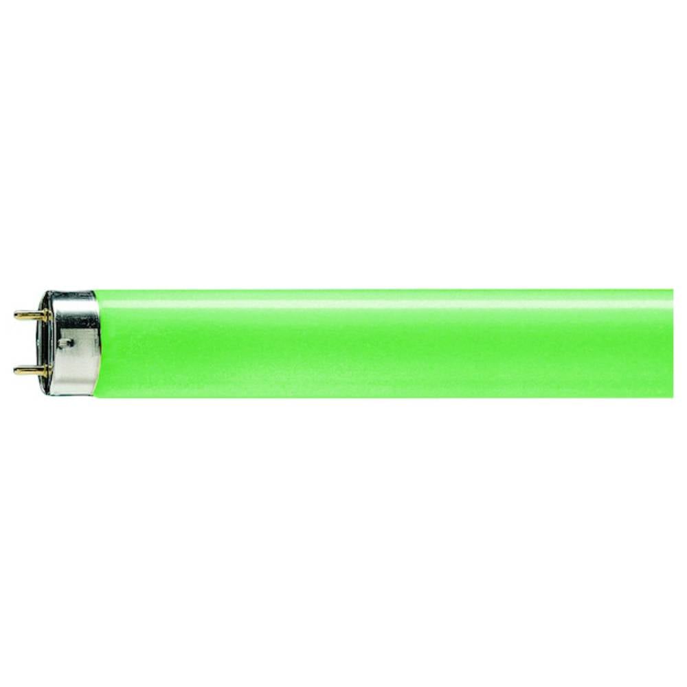 Signify Fluorescentielamp G13 36 W Staaf (Ø x l) 28 mm x 1213.6 mm 1 stuk(s)