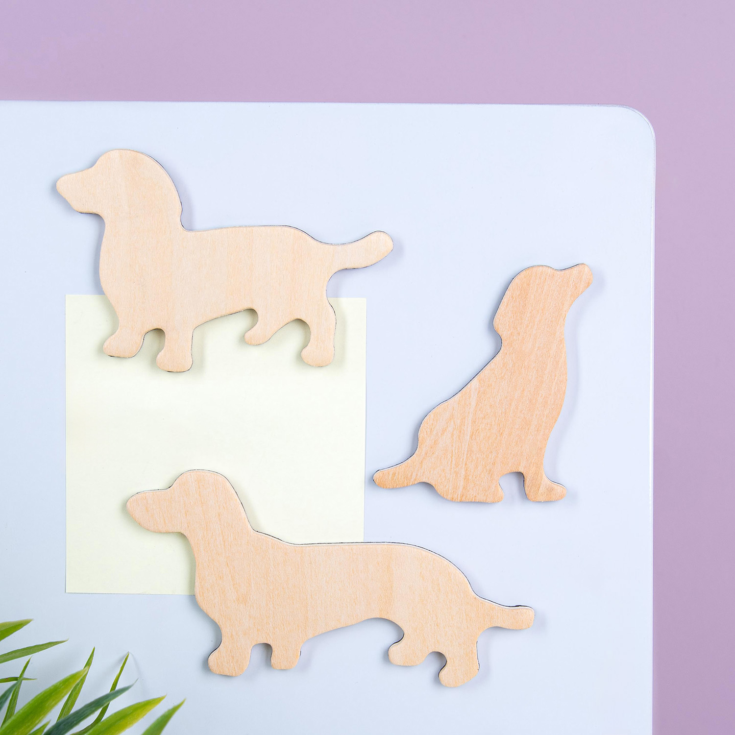 Suck UK Houten dierenmagneten (set van 3) - Hond