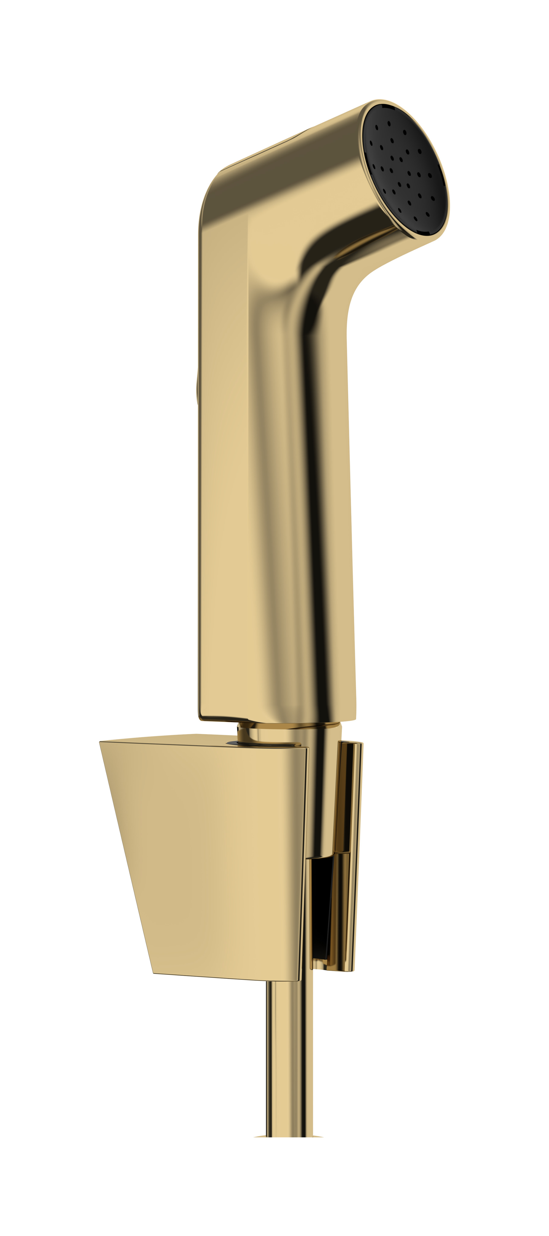 Hansgrohe bidethanddouche 1jet EcoSmart met Porter S douchehouder en doucheslang 125 cm, Polished Gold-Optic