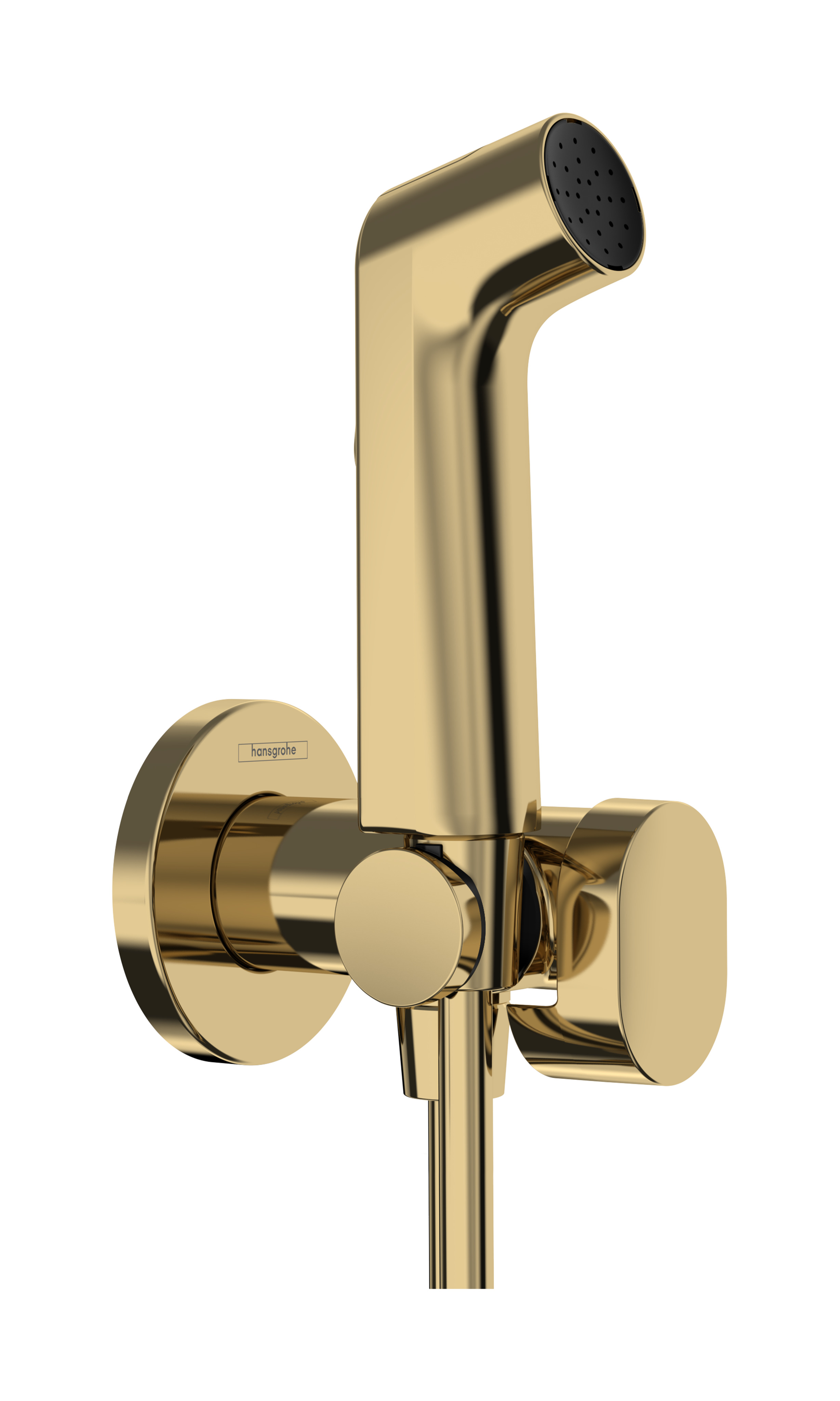 Hansgrohe bidethanddouche 1jet S EcoSmart voor koud water met porter en doucheslang 125 cm, Polished Gold-Optic