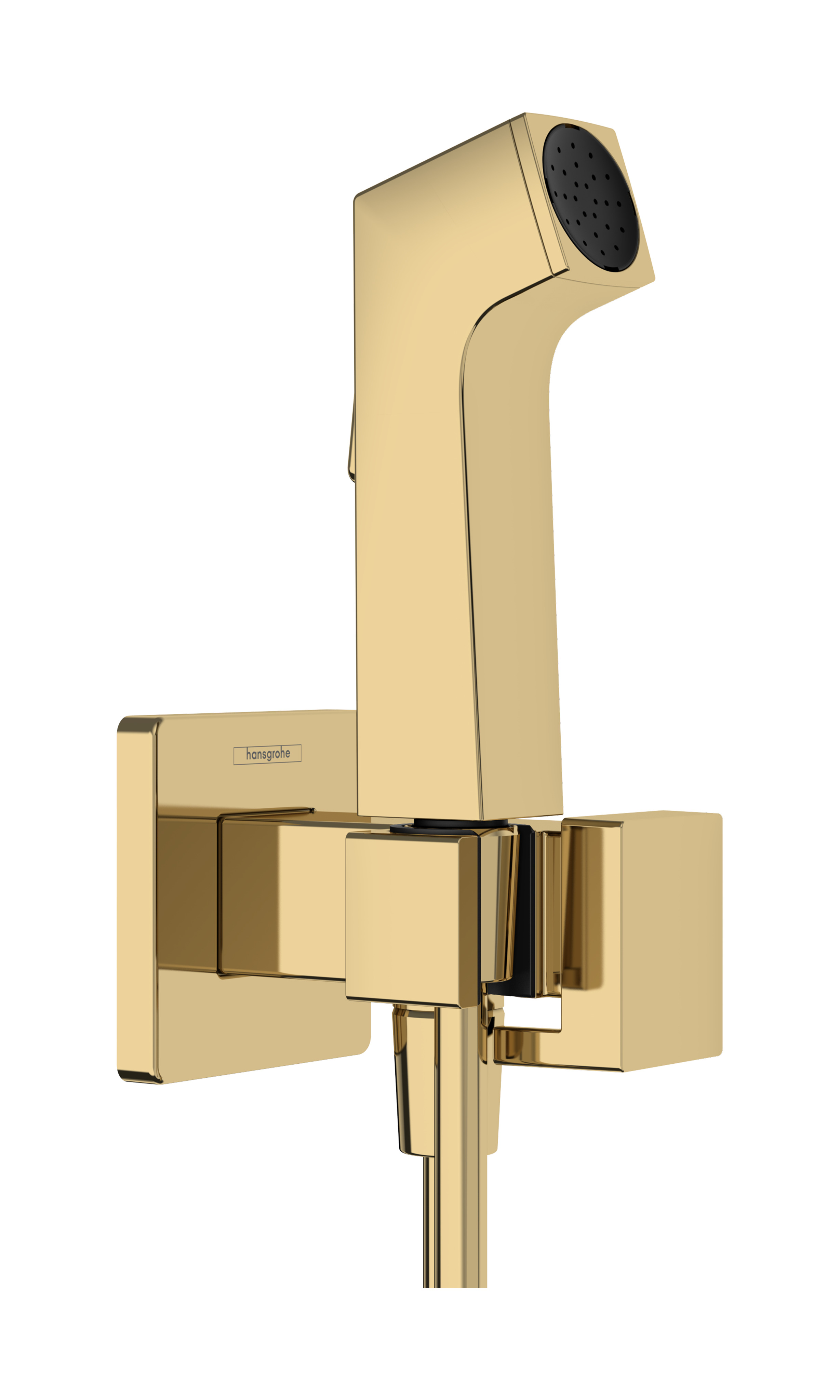 Hansgrohe bidethanddouche 1jet E EcoSmart voor warm water met douchehouder en doucheslang 125 cm, Polished Gold-Optic