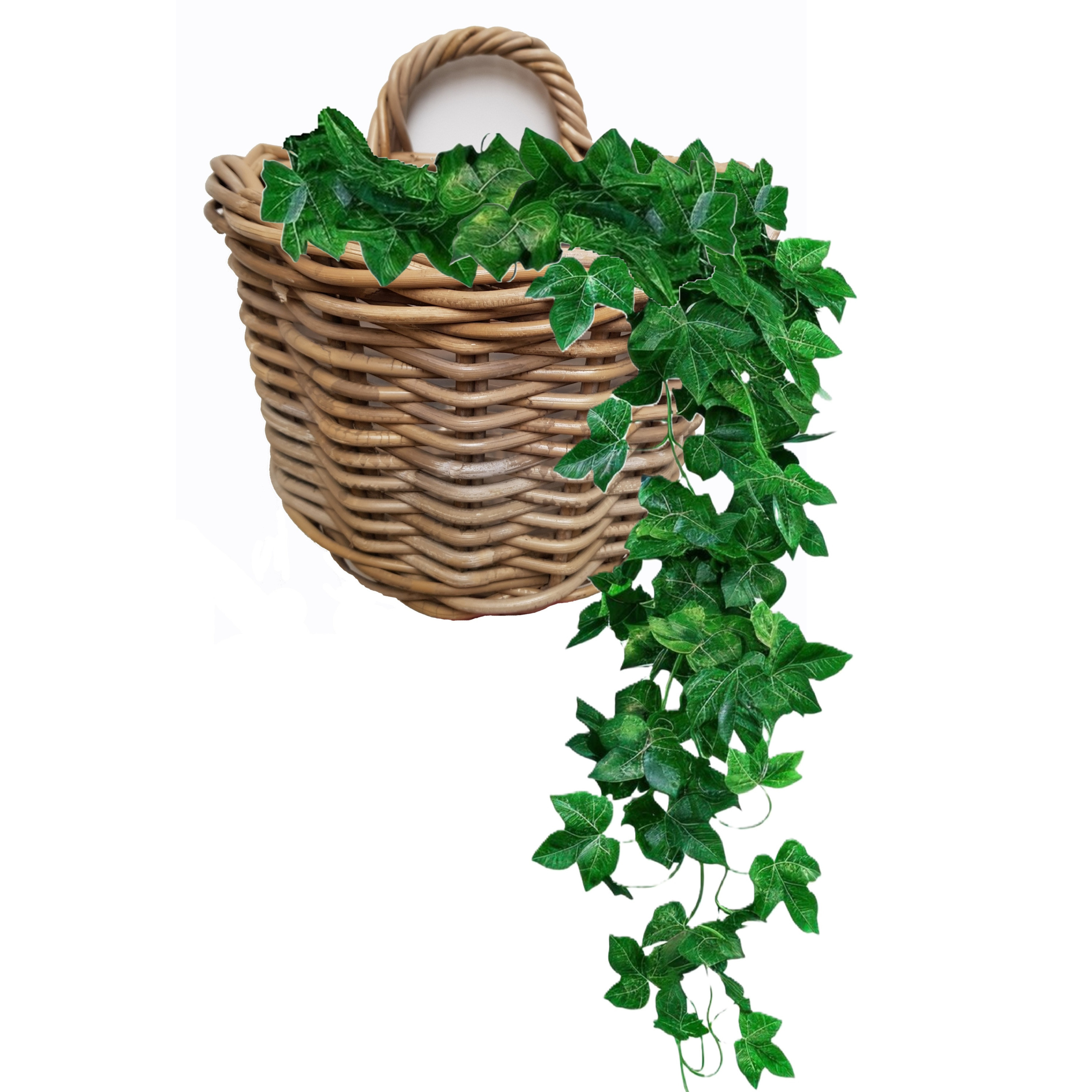 Van der Leeden Wandhanger mand - bruin - 29 x 18 x 20 cm - rotan - gevlochten - voor bloemen/planten -