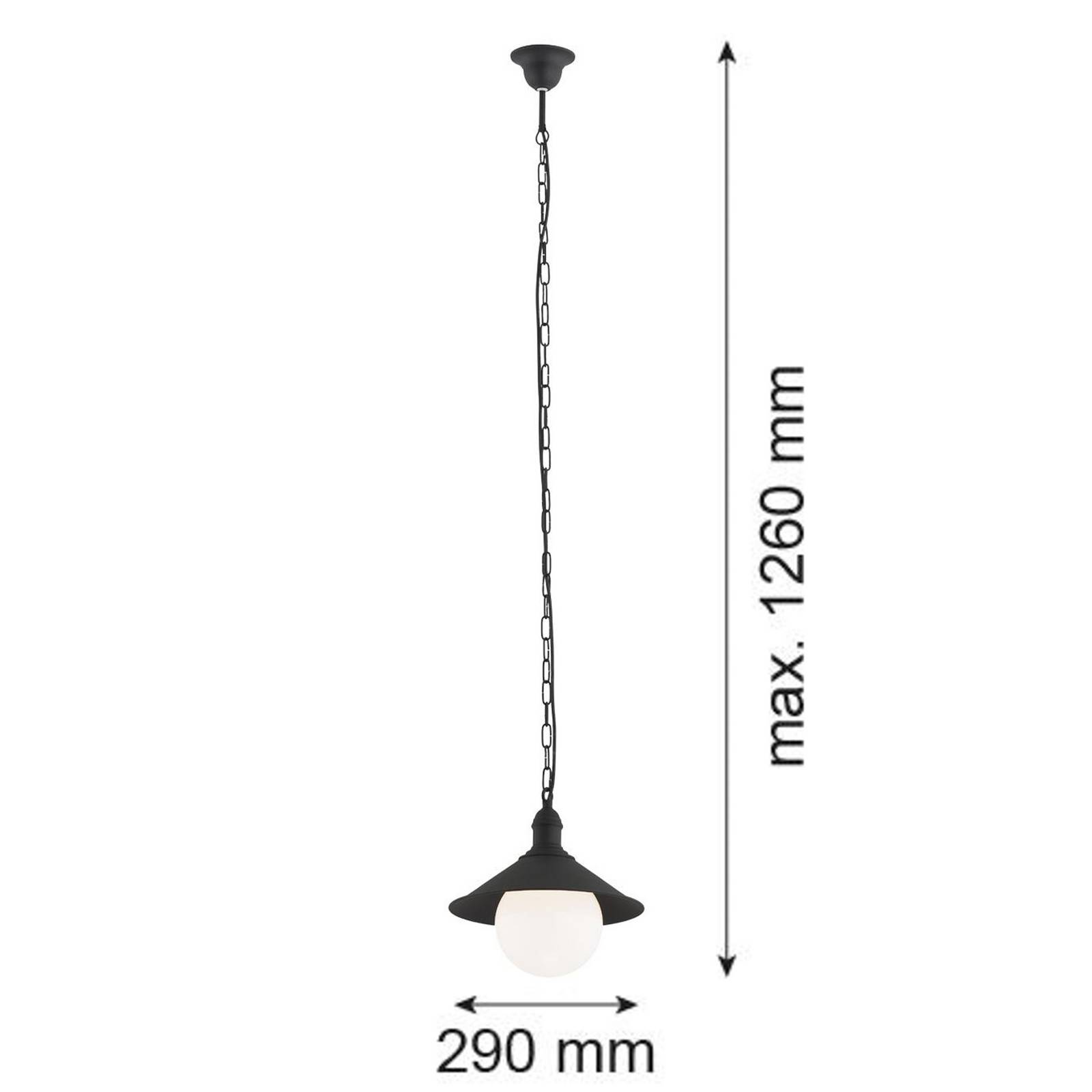 Argon Buiten hanglamp Enduro, zwart, staal, glas, IP44, E27