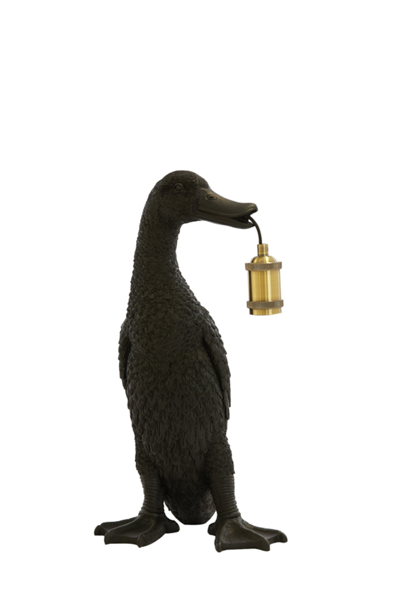 Light - Living Duck