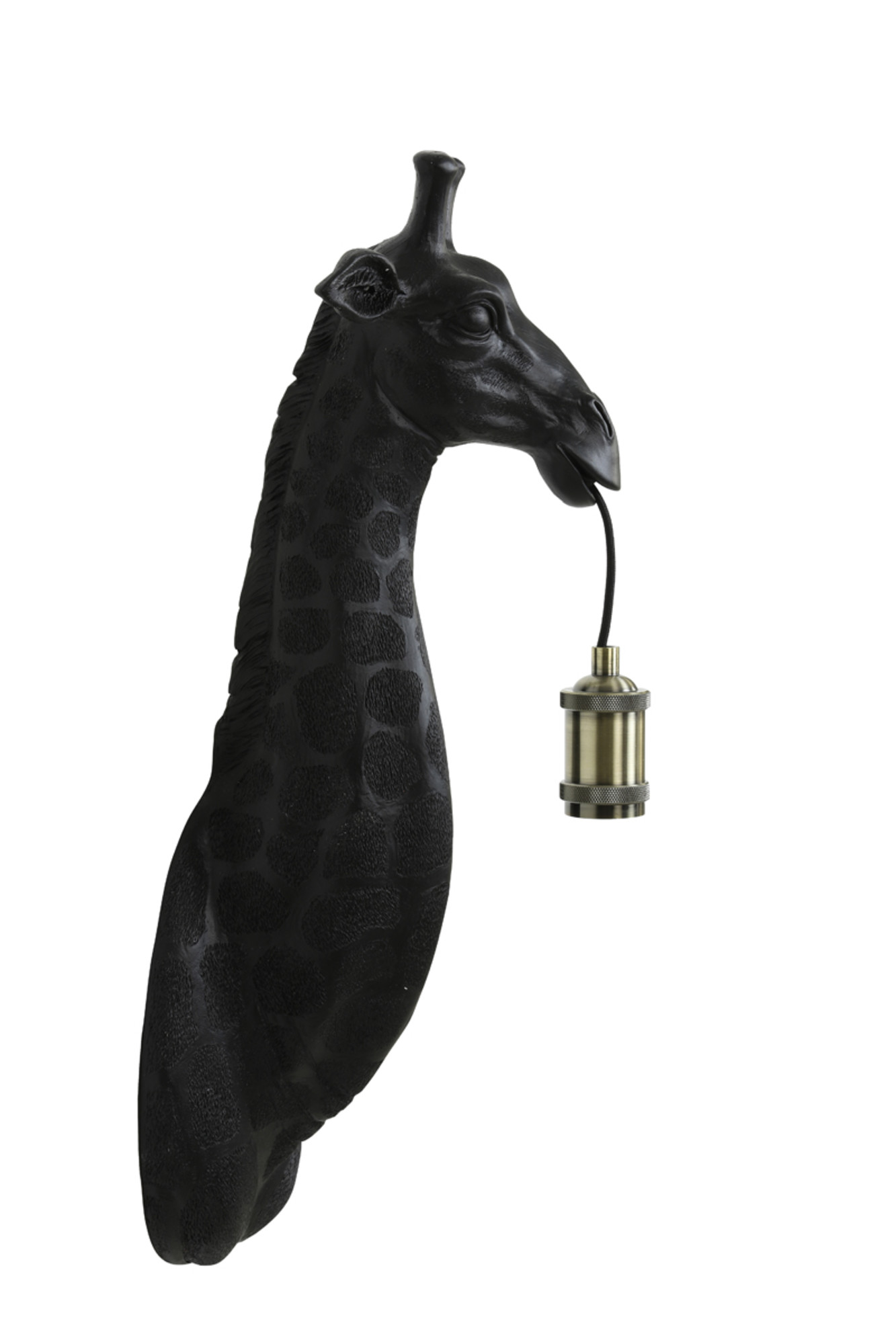 Light - Living Giraffe
