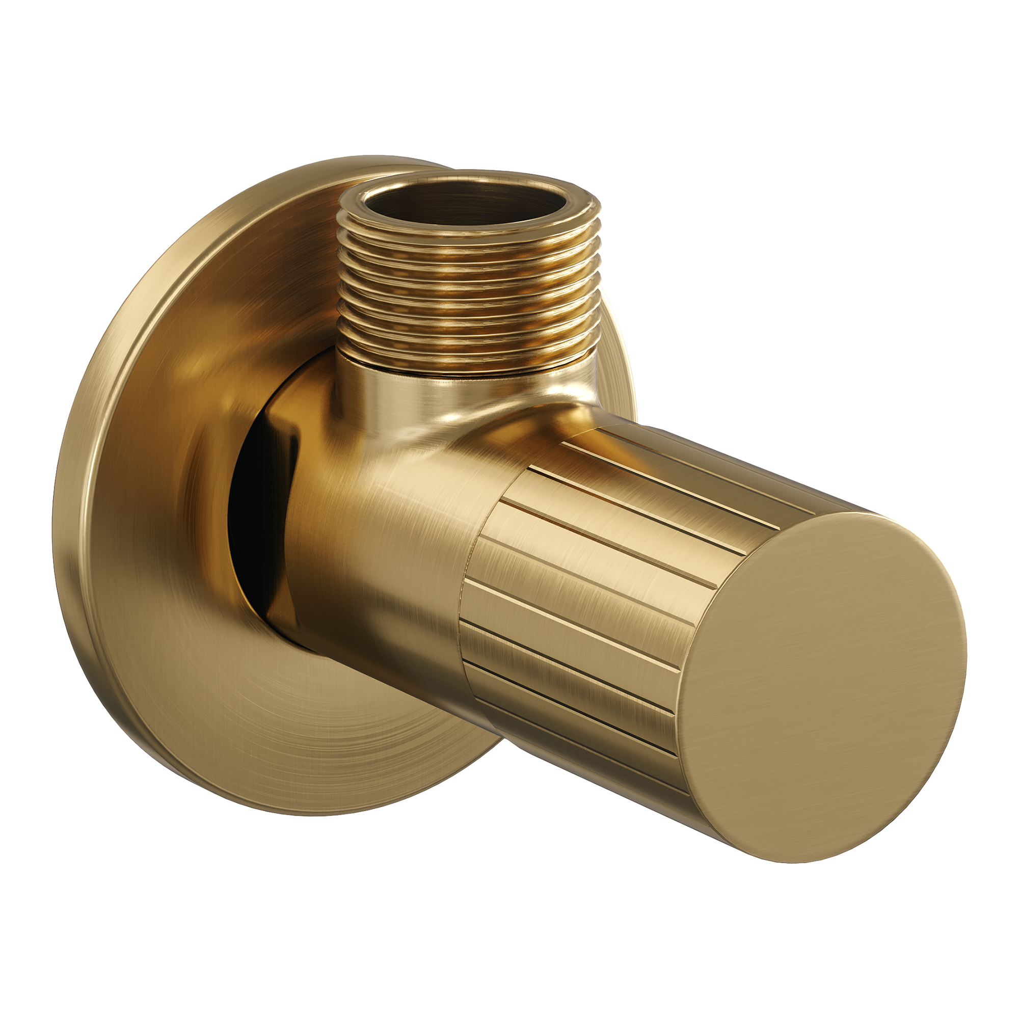 Brauer Stripe hoekstopkraan compleet met slang goud geborsteld PVD