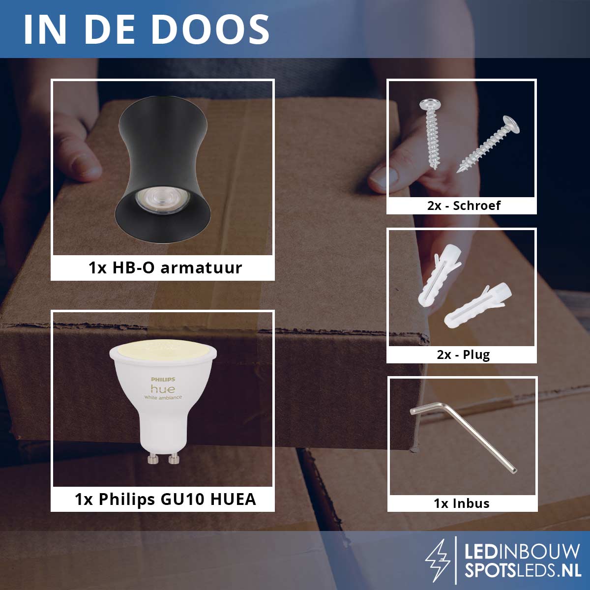 Opbouwspot Dublin - met gu10 Philips Hue white&ambiance - zwart