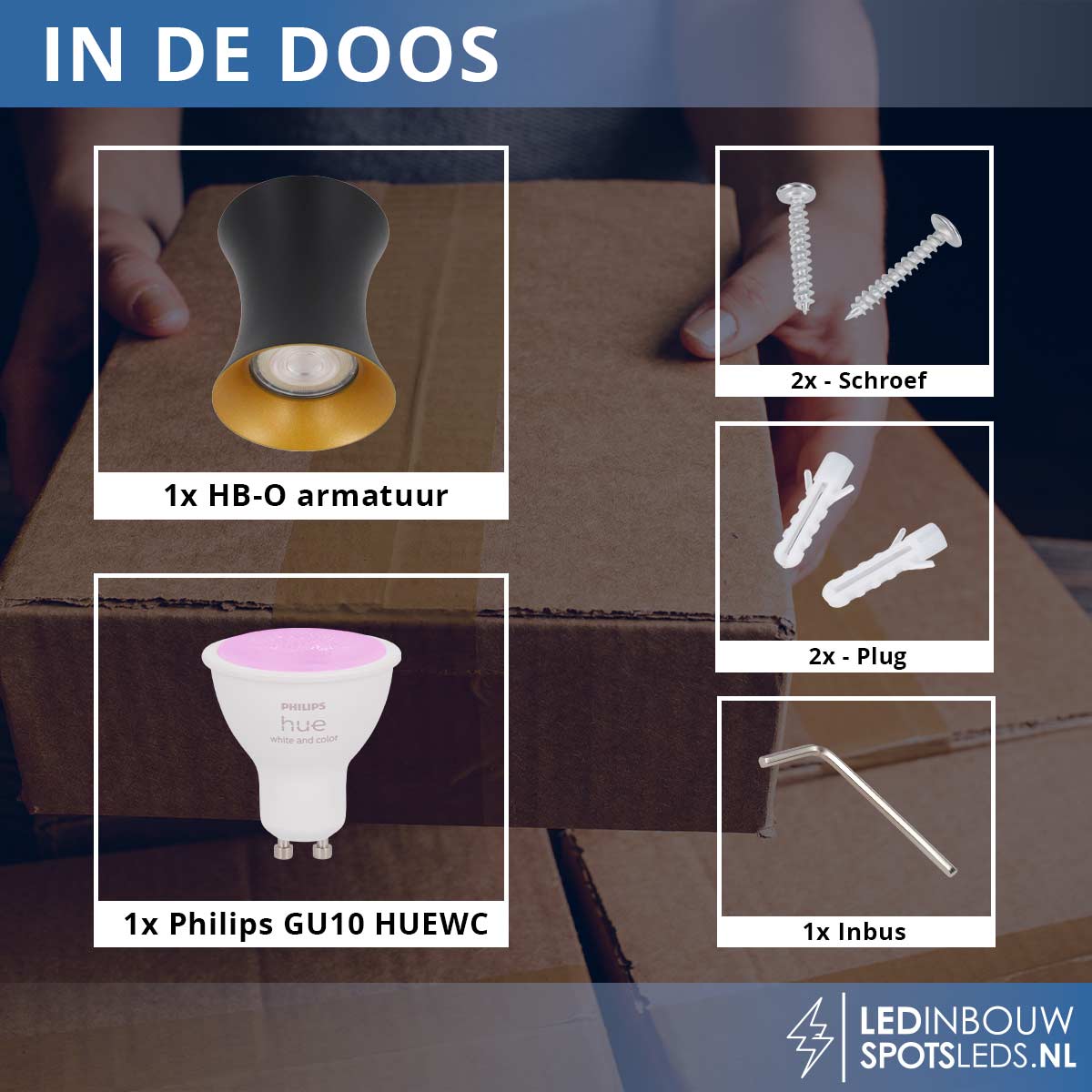 Opbouwspot Dublin - met gu10 Philips Hue white&color - zwart&goud