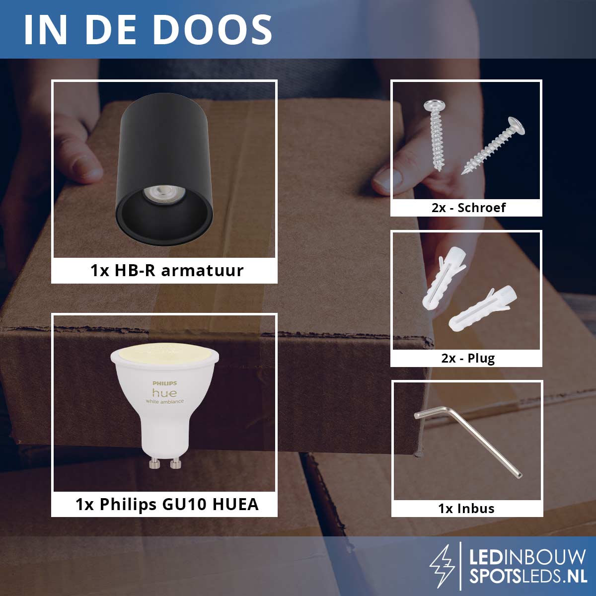 Opbouwspot Rio - met gu10 Philips Hue white&ambiance - zwart