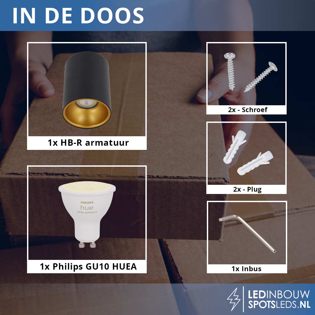 Opbouwspot Rio - met gu10 Philips Hue white&ambiance - zwart&goud