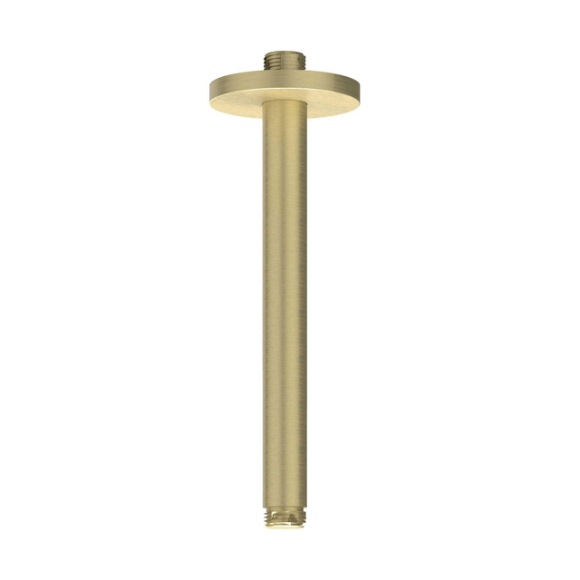 Ivy Plafondbuis - 20cm - 1/2 - RVS316 geborsteld mat goud PVD 6901612