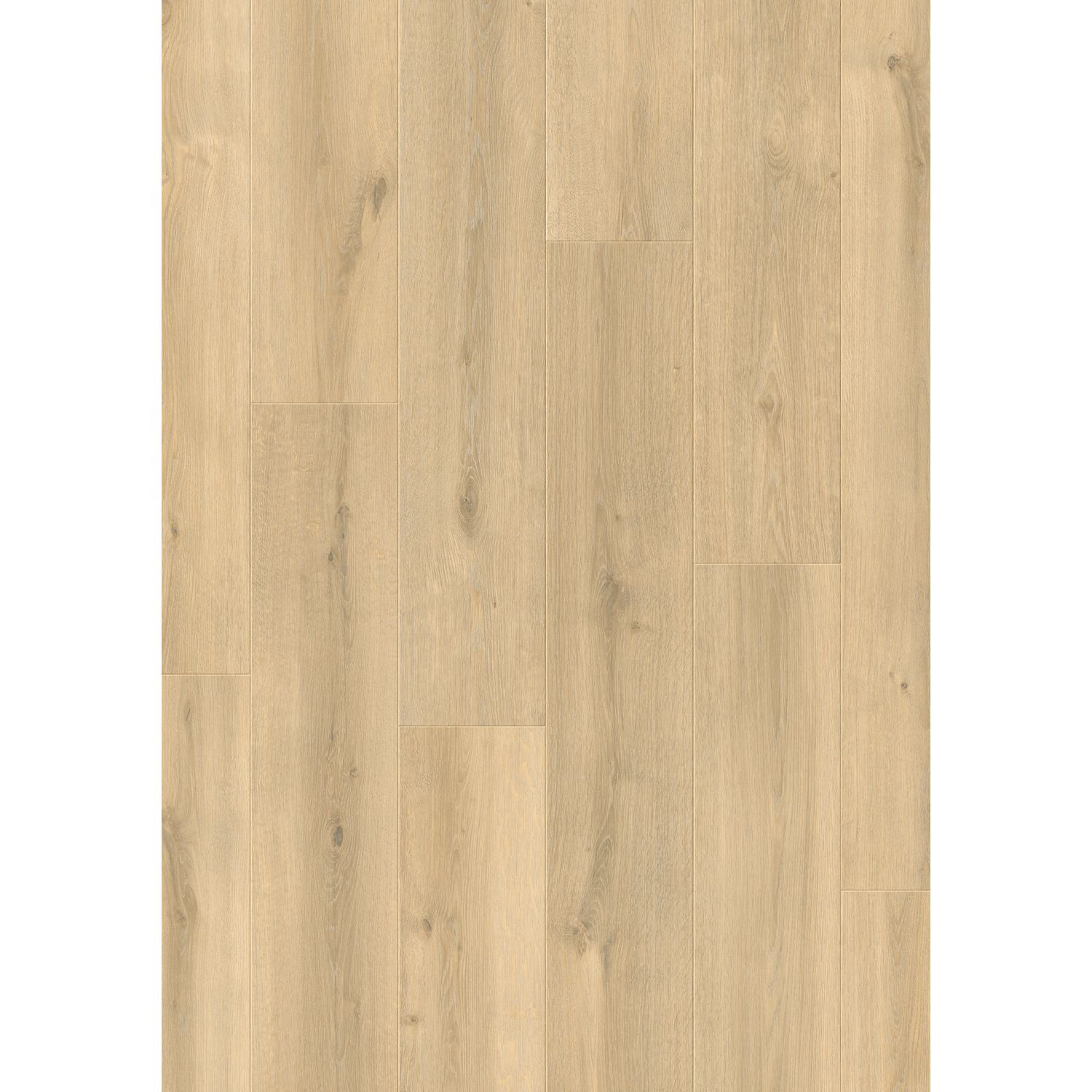 Quick Step Quick-step Laminaat Complete Koninginne-es Eik - 4-zijdige V-groef - 8mm - 2,179m²