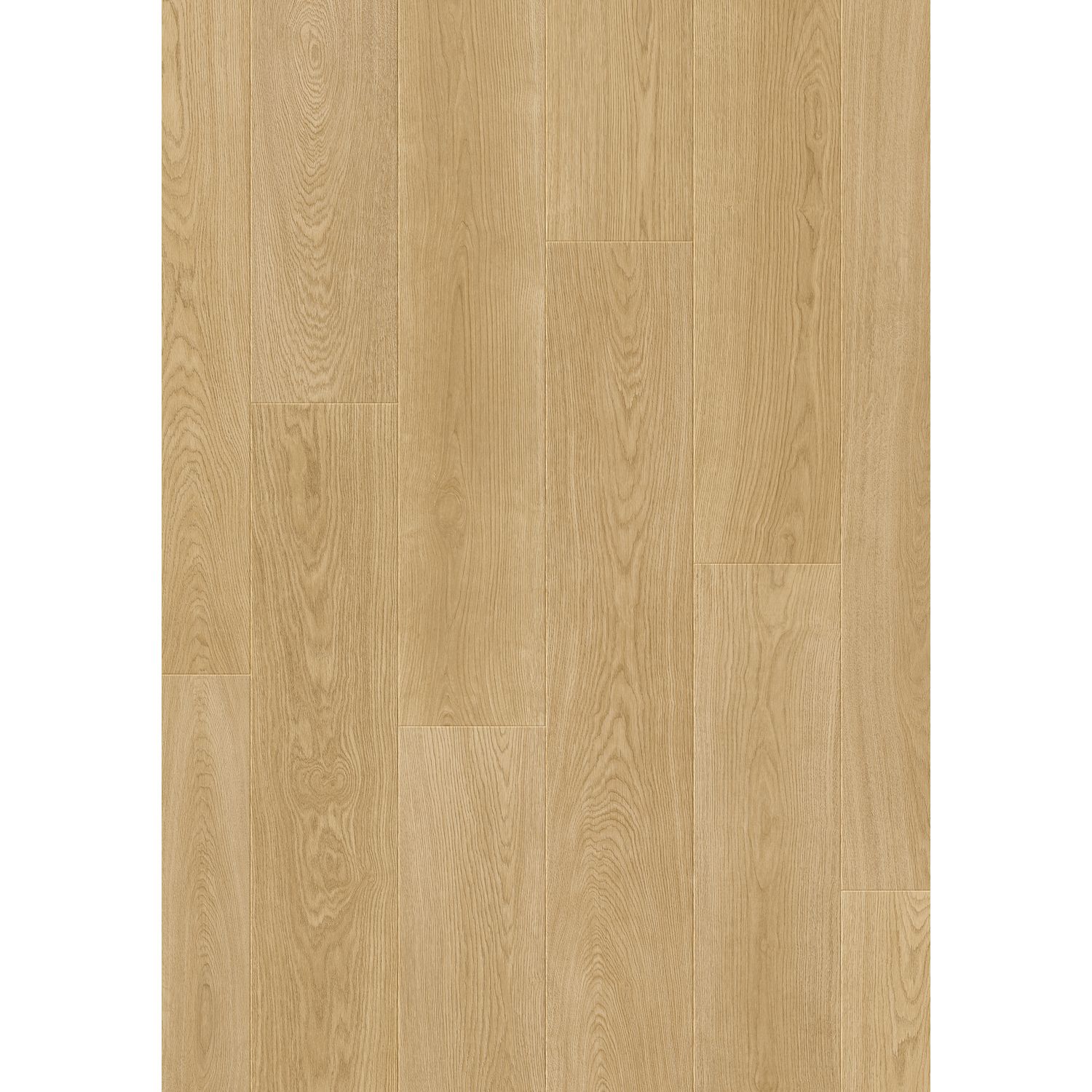 Quick Step Quick-step Laminaat Complete - Pure Natuurlijke Eik - 4-zijdige V-groef - 8mm - 2,179m²