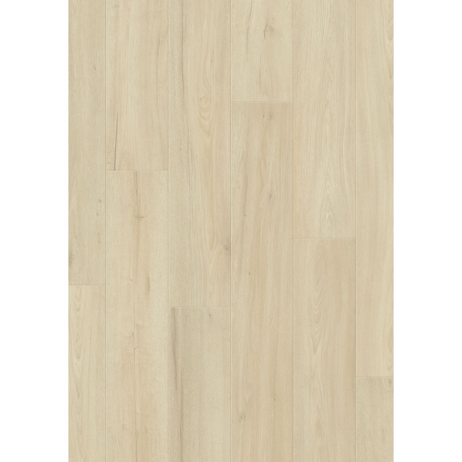 Quick Step Quick-step Laminaat Complete - Ruwe Witte Eik - 4-zijdige V-groef - 8mm - 2,179m²