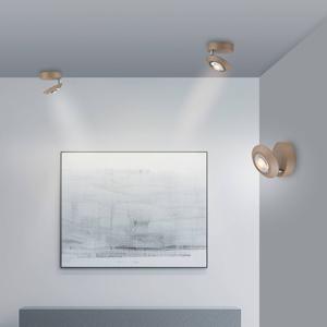 PURE LED-Deckenlampe Oculis bronzefarben, &Oslash; 15 cm Eisen/Glas