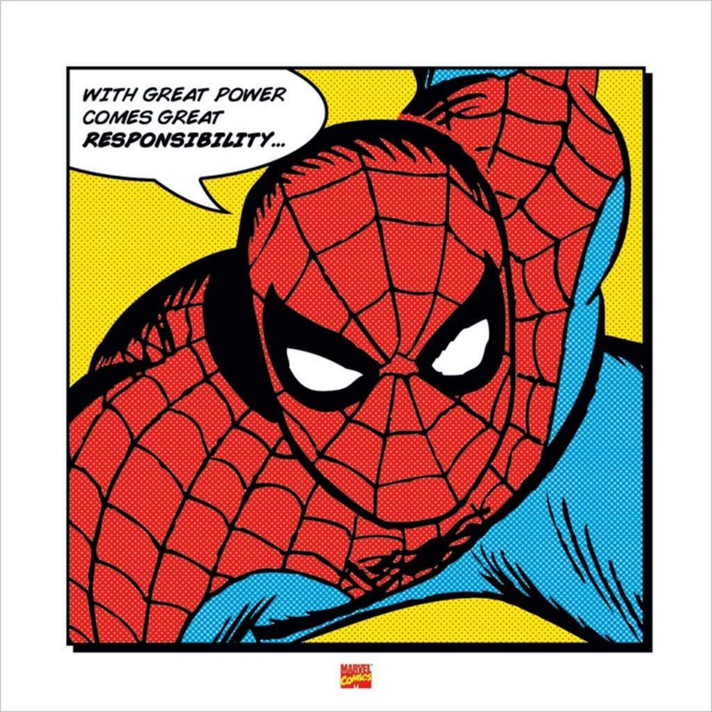 Pyramid Kunstdruk Spider-Man - With Great Power 40x40cm