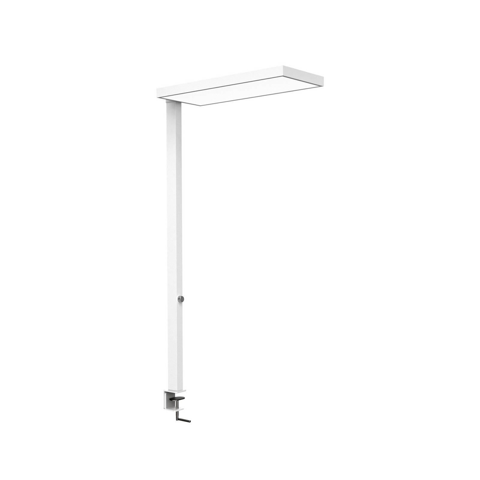 Maul LED klemlamp jura, wit, aluminium, dimbaar, 100 cm
