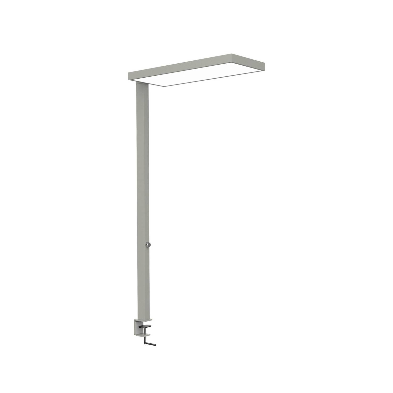 Maul LED klemlamp jura, zilverkleurig, dimbaar, 100 cm