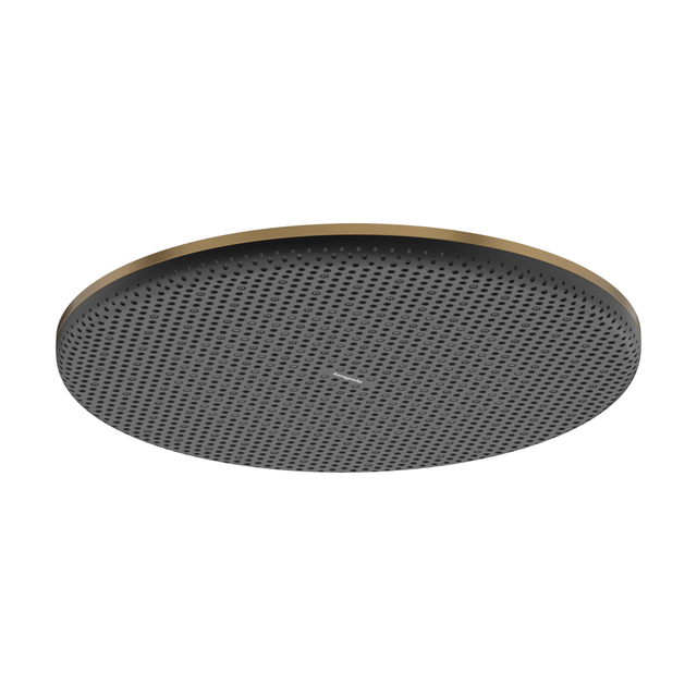 Hansgrohe Raindance alive hoofddouche 300 1 jet Brushed bronze (brons) 24520140