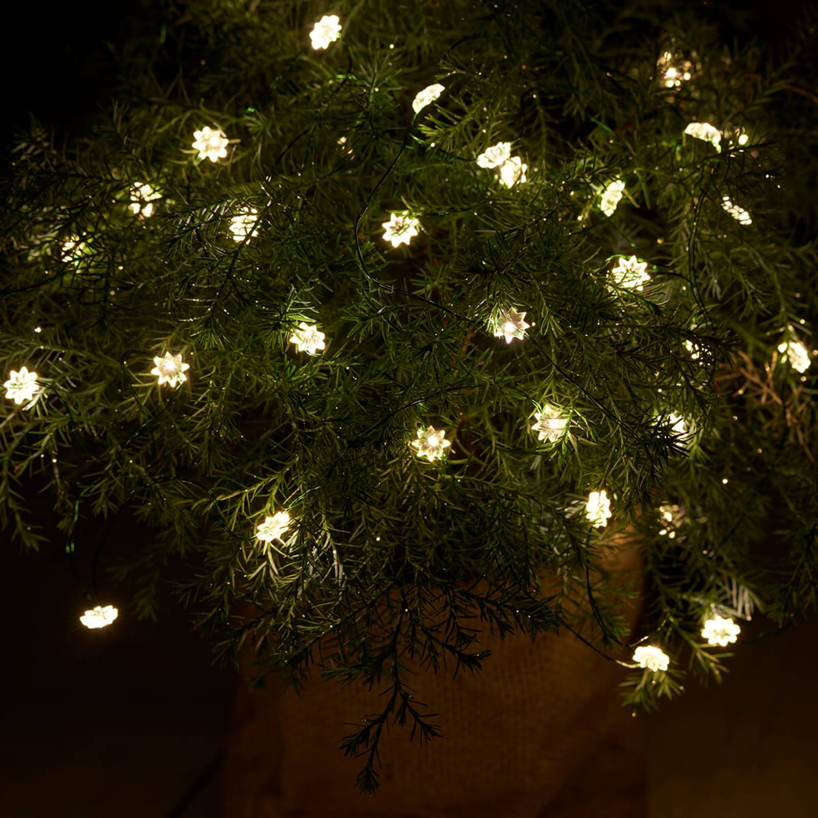Sirius Voor Innes en buiten - SILK 40fl LED lichtketting