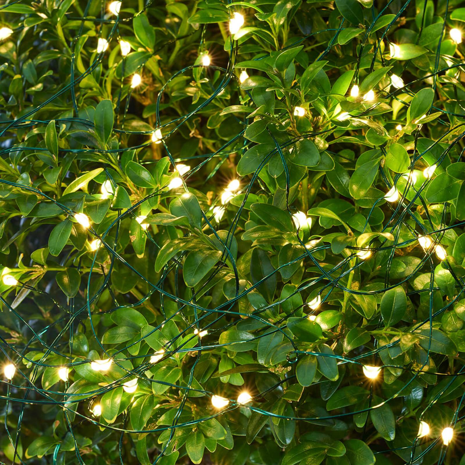 Sirius LED lichtketting voor buiten, 160 lampjes.