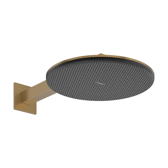 Hansgrohe Raindance alive hoofddouche 300 2 jet wand Brushed bronze (brons) 24540140