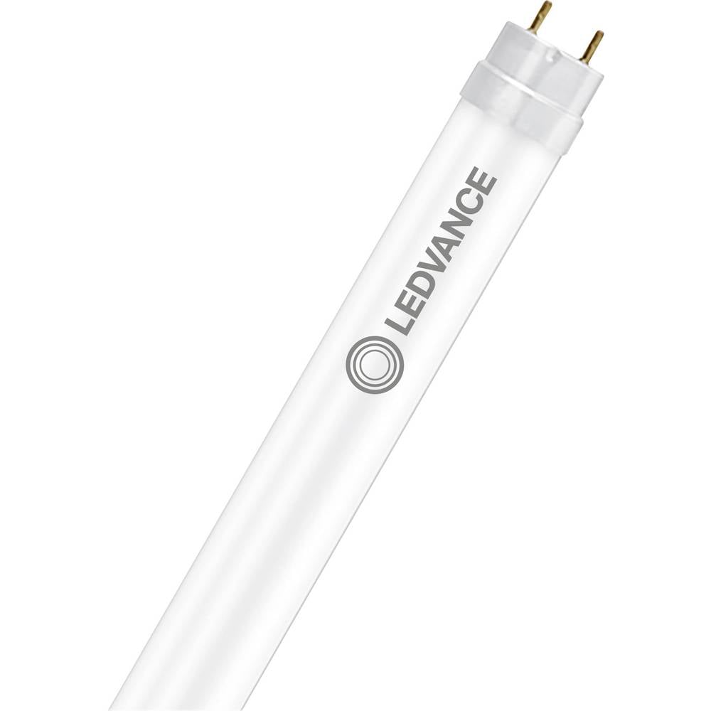 LEDVANCE LED-buis-Buis Energielabel: F (A - G) G13 T8 11.6 W Warmwit 1 stuk(s) (Ø x l) 26.80 mm x 1061.00 mm