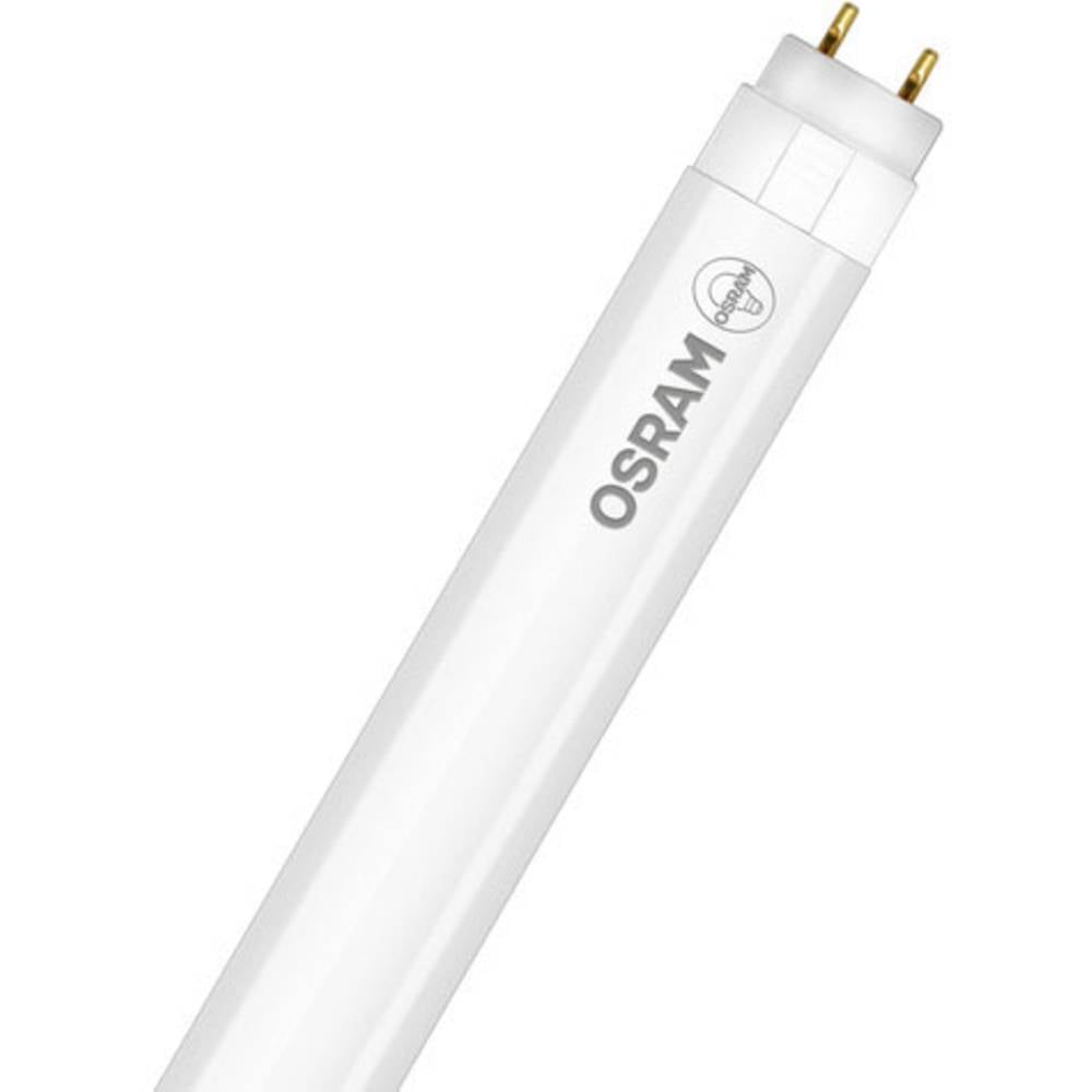 LEDVANCE LED-buis-Buis Energielabel: F (A - G) G13 T8 8 W Koudwit 1 stuk(s) (Ø x l) 25.5 mm x 603 mm Elektronisch voorschakelapparaat