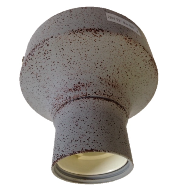 Sfeerlampen Tasso zink plafondlamp