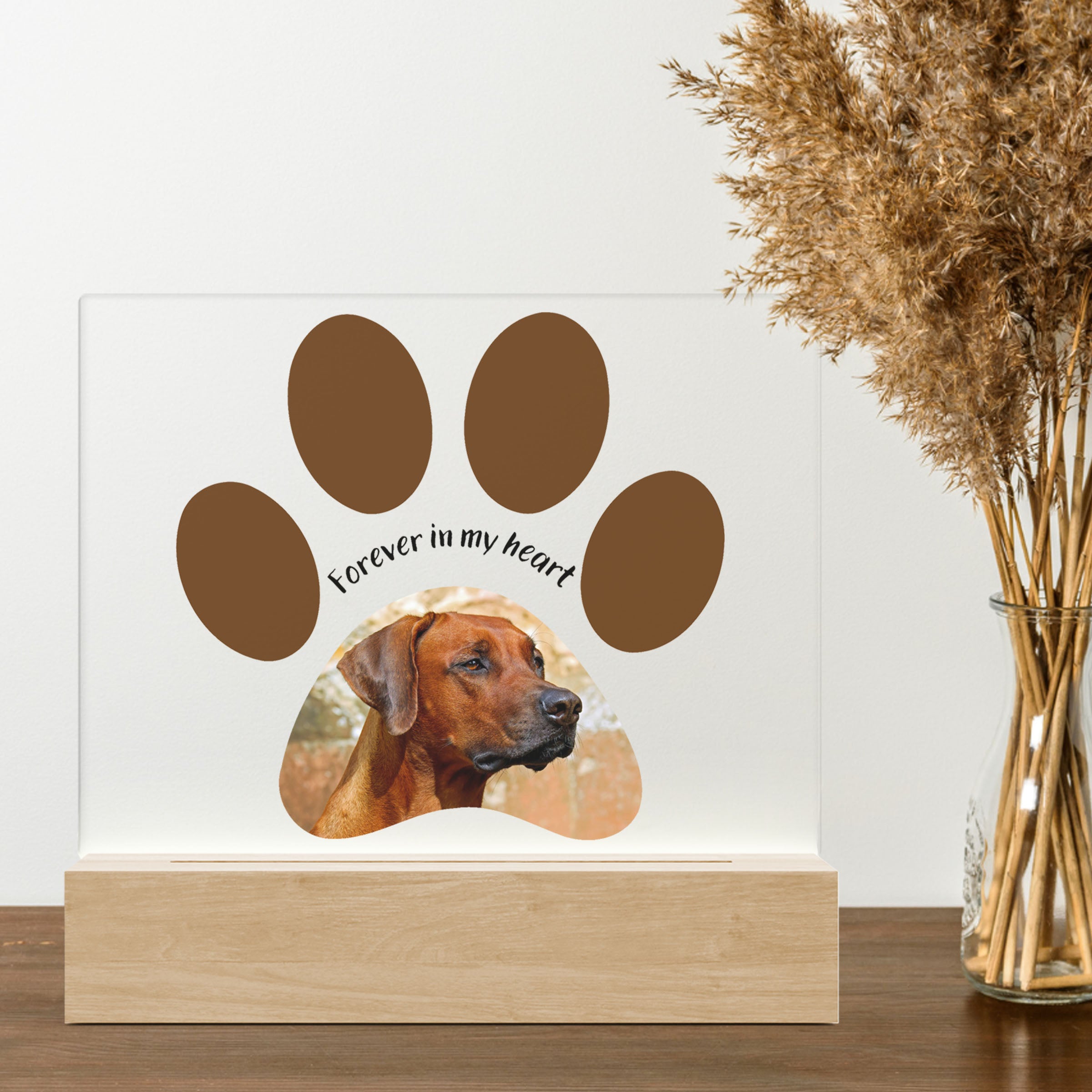 Merkloos 3D LED LAMP - Hondenpoot - Ontwerp-zelf.nl