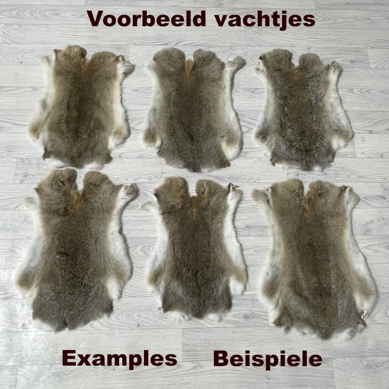 Lederstore Konijnenvachten 45-50 - 30-40cm bruin grijs wit