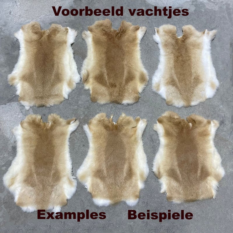 Lederstore Konijnenvachten 45-50 - 30-40cm beige wit