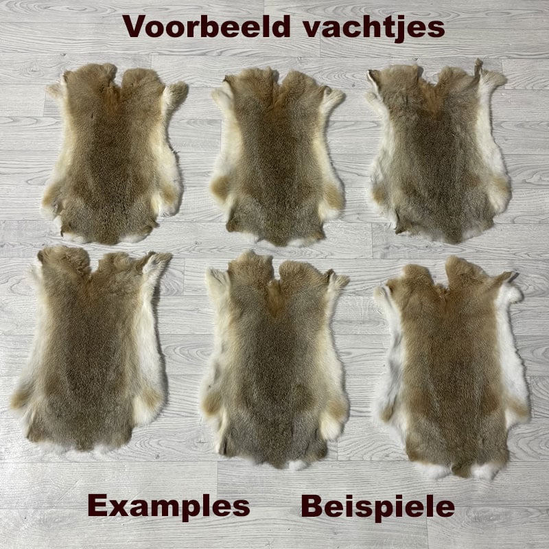 Lederstore Konijnenvachten 45-50 - 30-40cm beige grijs wit