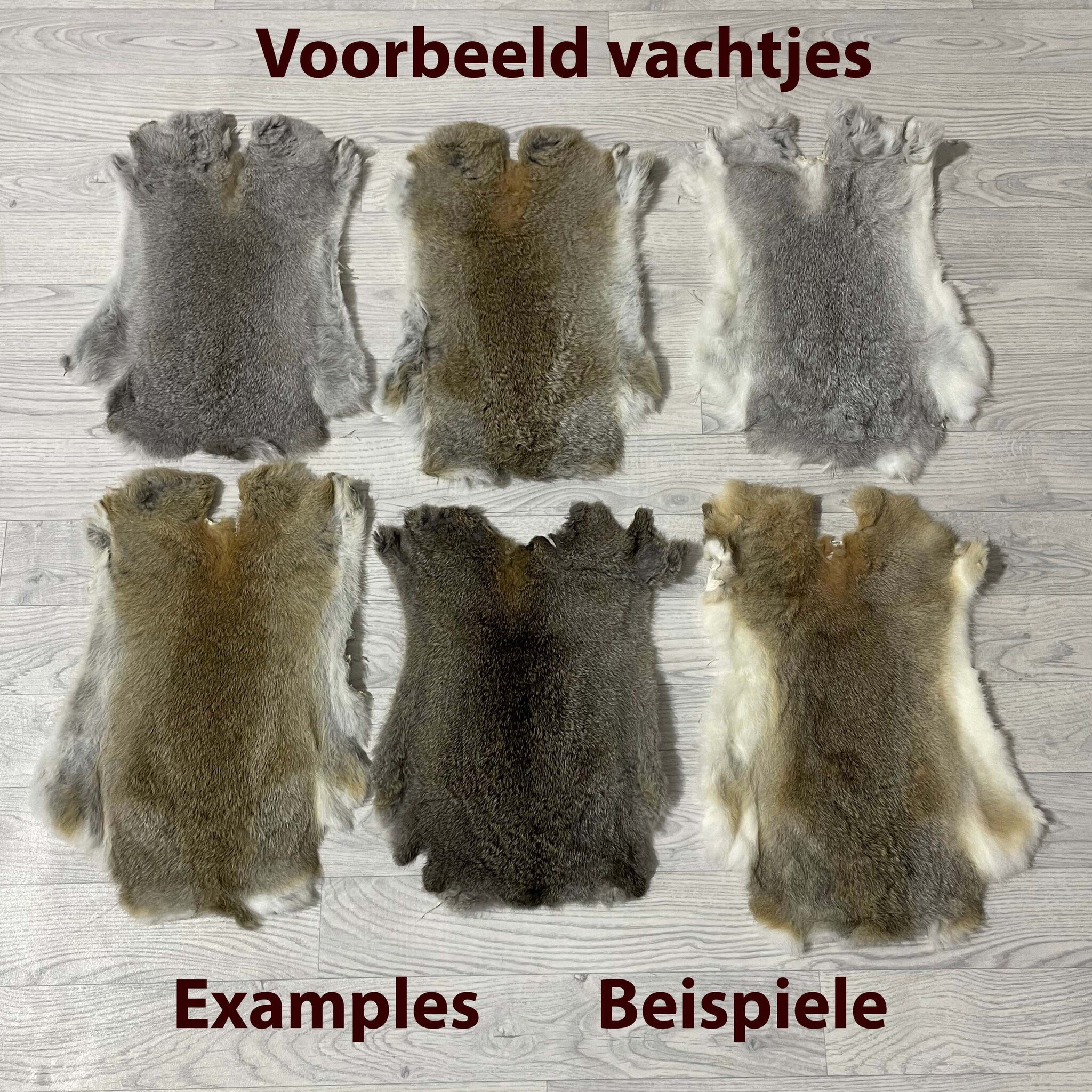 Lederstore Konijnenvachten A-keus mix