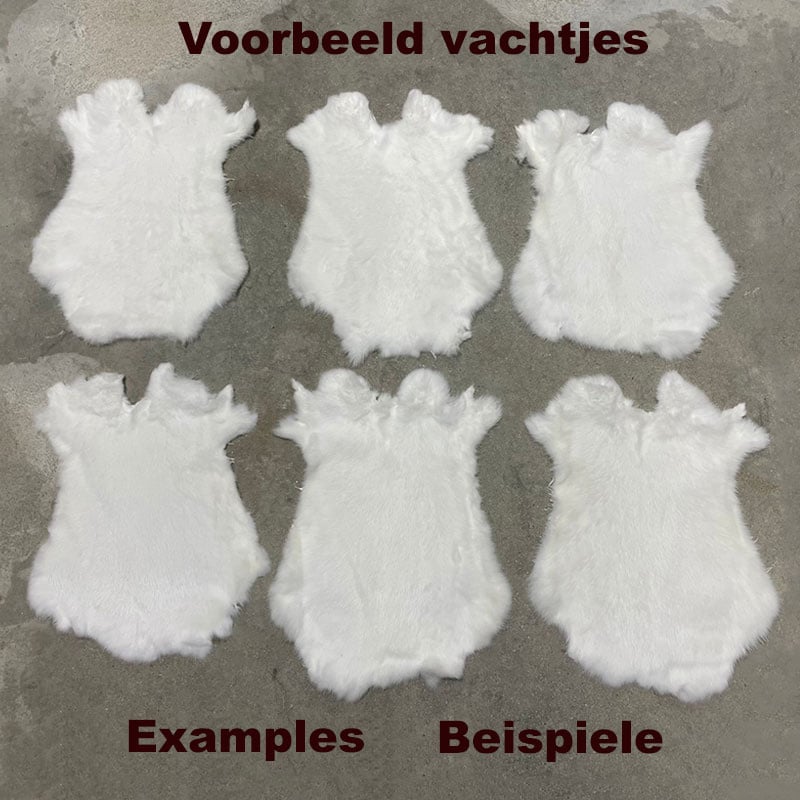 Lederstore Konijnenvachten 45-50 - 30-40cm wit