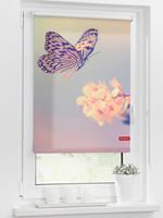 home24 Lichtblick Rollo Schmetterling 120x150 cm (BxH) Pastell Webstoff