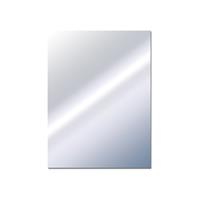 Plieger Basic 4mm spiegel 60x45cm zilver 4350047