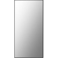 Plieger Basic spiegel sanitair 60x30cm 4350971